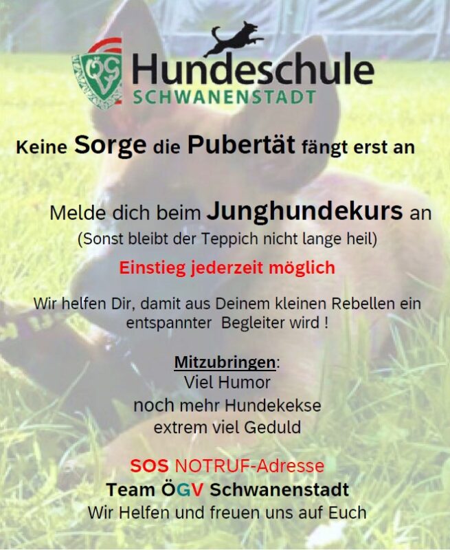 Junghunde Mai 25