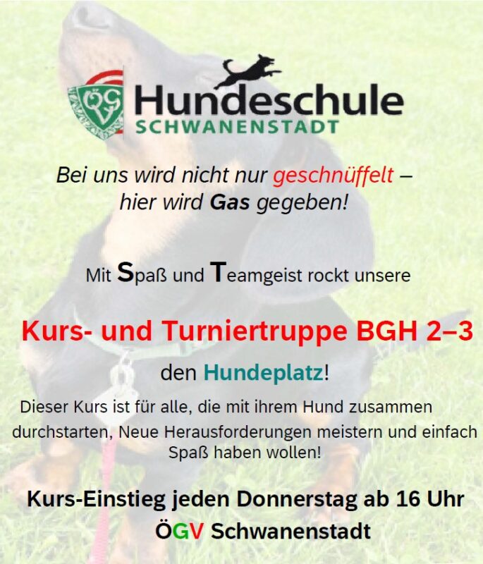 Tunier 2-3 BGH Mai 25