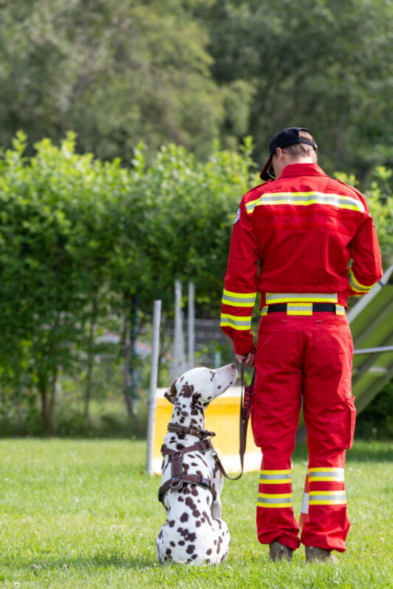 Rettungshunde_oegv_Schwanenstadt_Training_Juni22-13_small