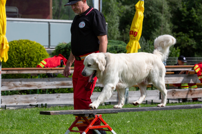Rettungshunde_oegv_Schwanenstadt_Training_Juni22-24_small
