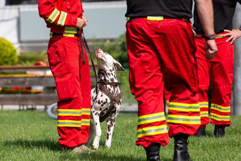 Rettungshunde_oegv_Schwanenstadt_Training_Juni22-50_small