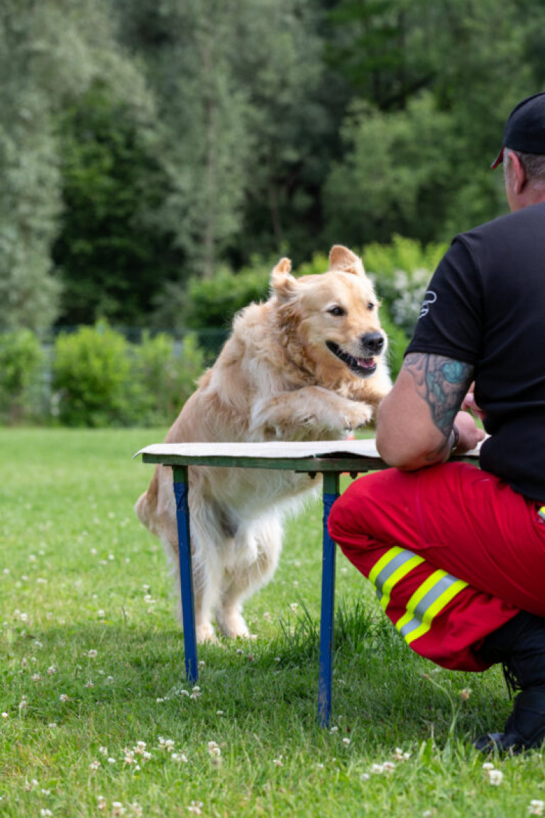 Rettungshunde_oegv_Schwanenstadt_Training_Juni22-32_small