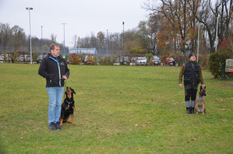 Vereinspruefung_Hundeschule_Schwanenstadt_November_2021_82