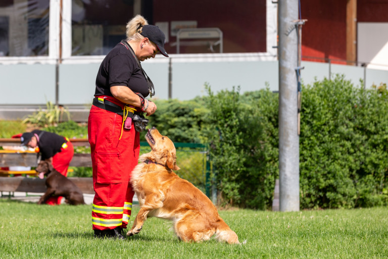 Rettungshunde_oegv_Schwanenstadt_Training_Juni22-29_small