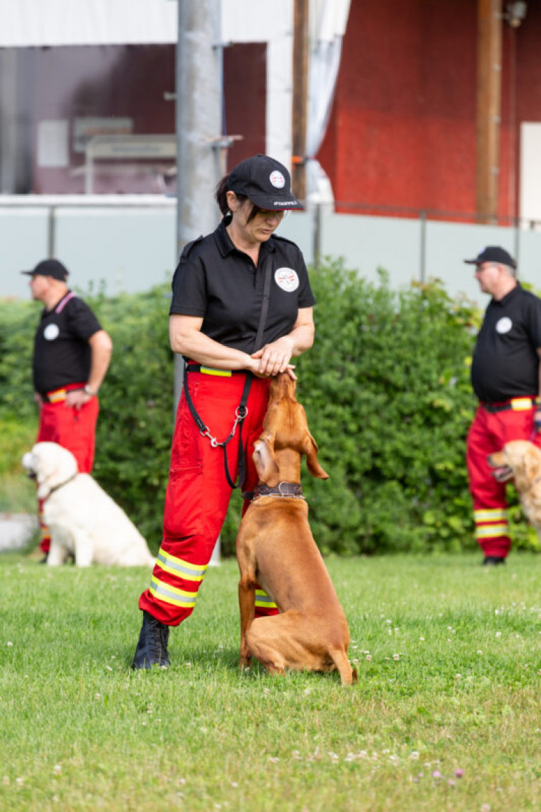 Rettungshunde_oegv_Schwanenstadt_Training_Juni22-11_small