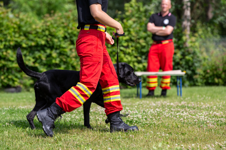 Rettungshunde_oegv_Schwanenstadt_Training_Juni22-42_small