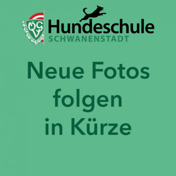 Neue_Fotos_folgen_Website