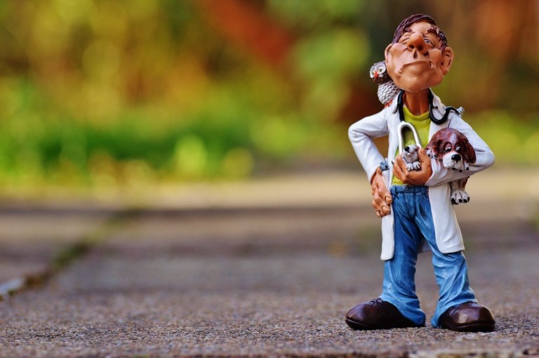 veterinarian-1050819_1920
