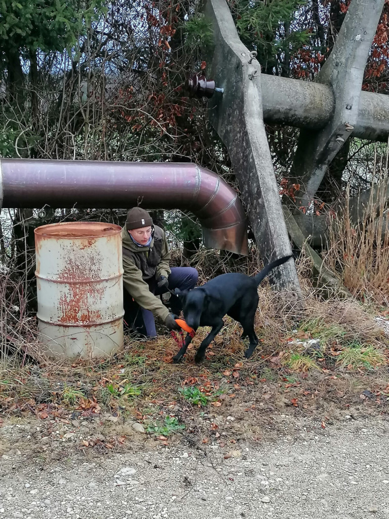 Hundeschule_oegv_Schwanenstadt_Rettungshundetraining_Dez21_34
