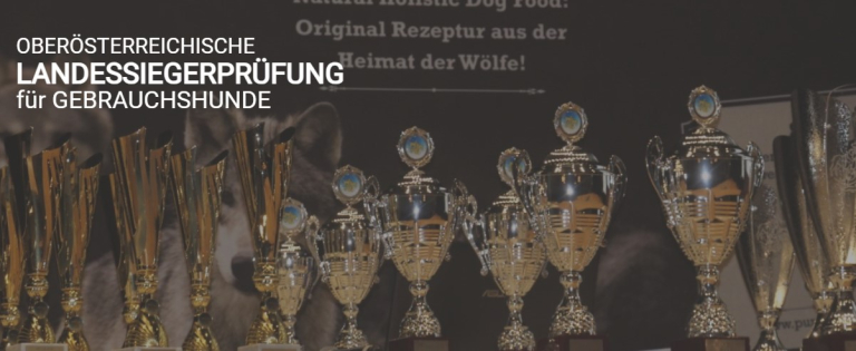 Screenshot 2026-02-04 165648