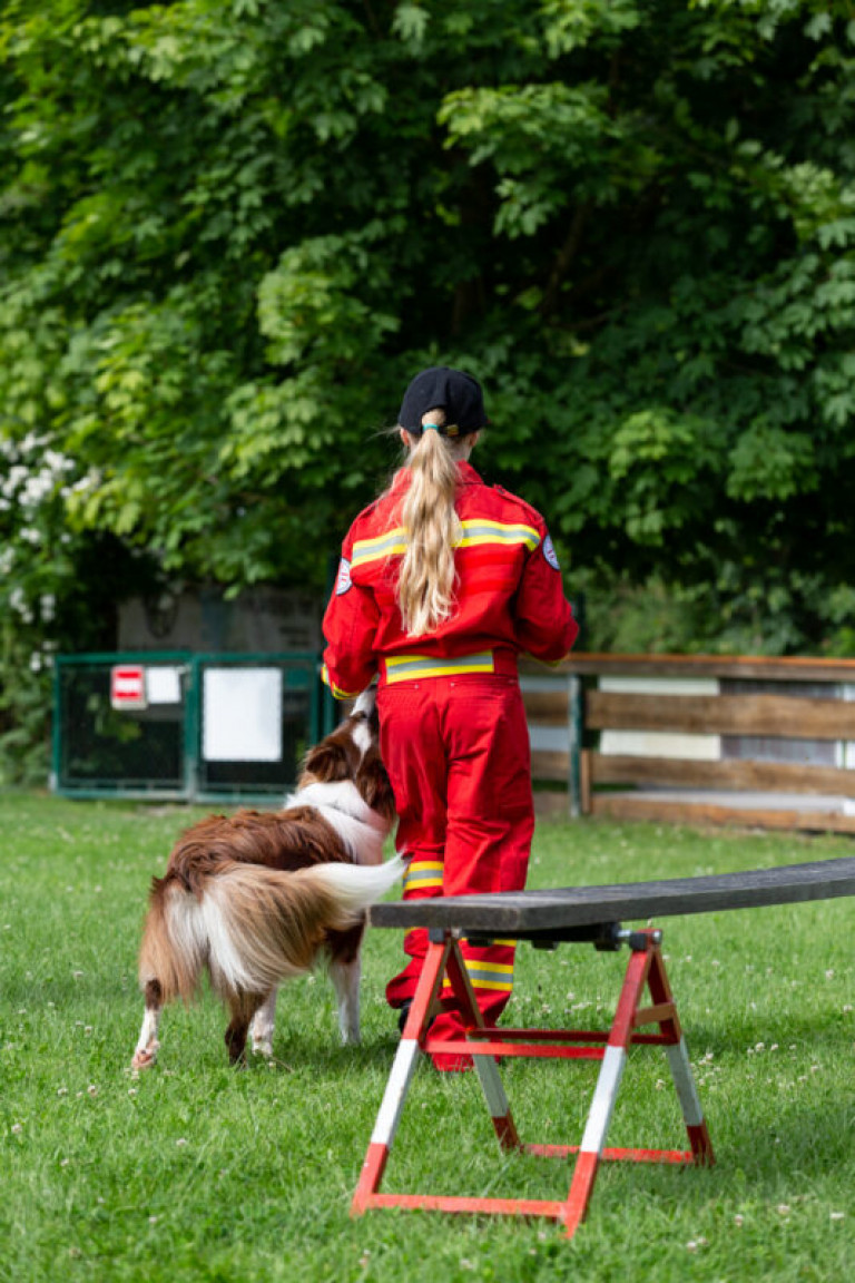 Rettungshunde_oegv_Schwanenstadt_Training_Juni22-2_small