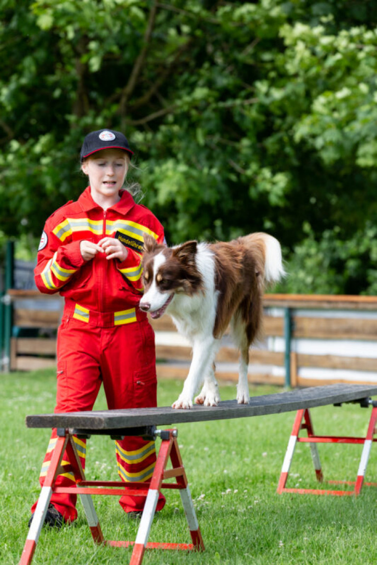 Rettungshunde_oegv_Schwanenstadt_Training_Juni22-4_small