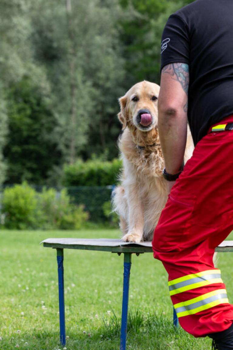 Rettungshunde_oegv_Schwanenstadt_Training_Juni22-33_small