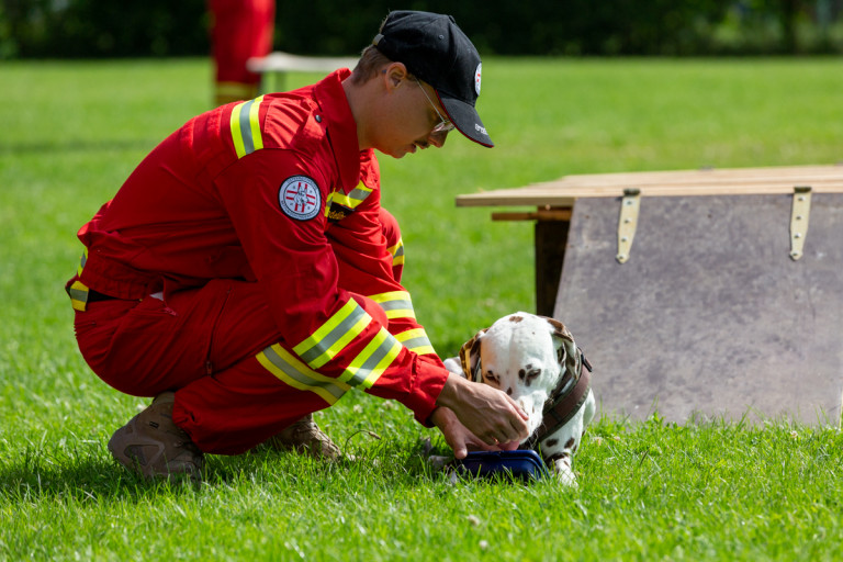 Rettungshunde_oegv_Schwanenstadt_Training_Juni22-26_small