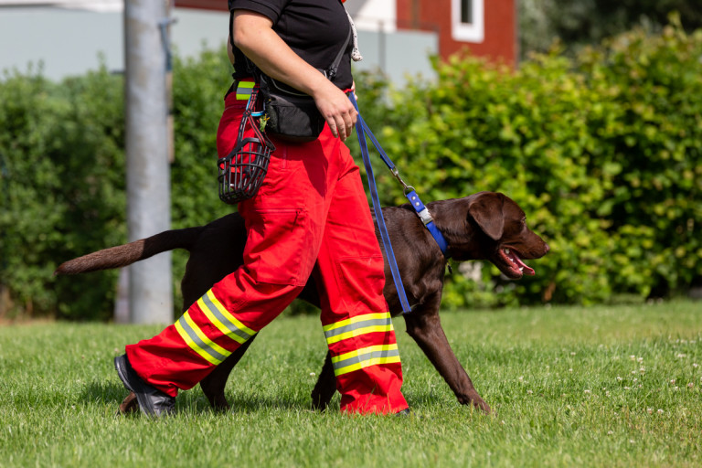Rettungshunde_oegv_Schwanenstadt_Training_Juni22-54_small