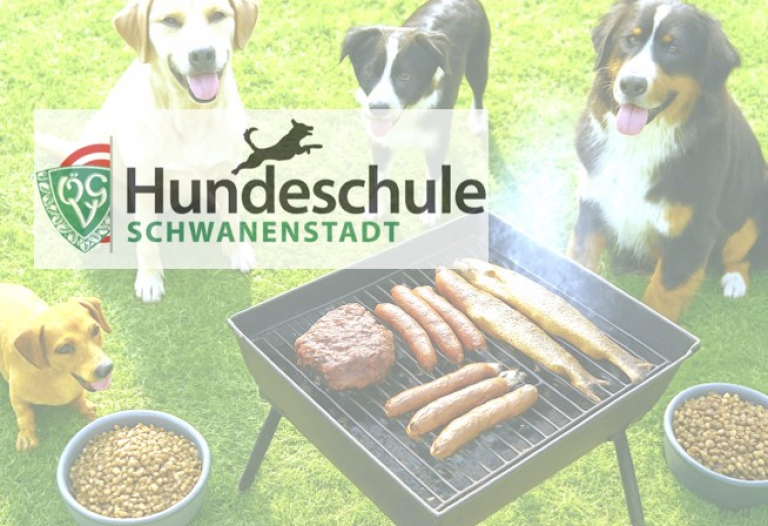 Grillen neuneu