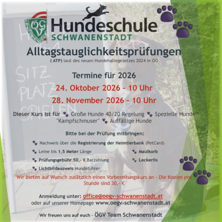ATP Herbst 26