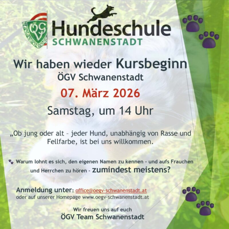 Kursbeginn Frühjahr 2026
