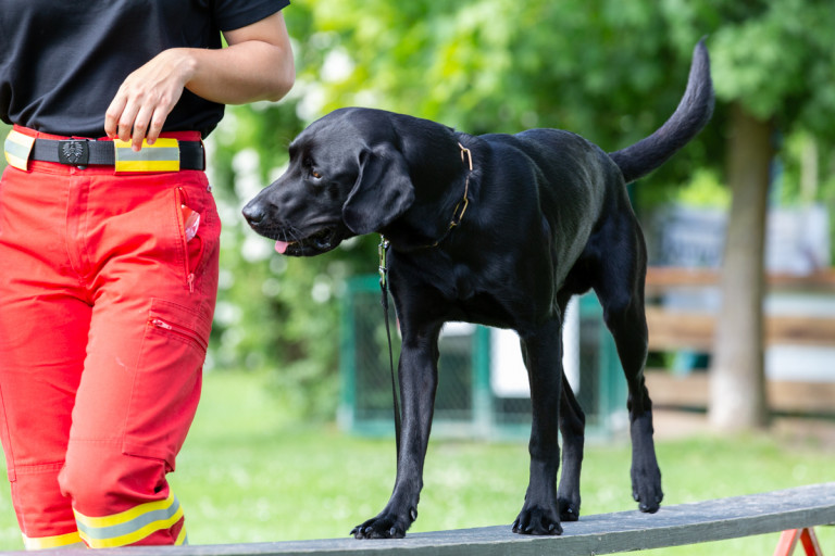 Rettungshunde_oegv_Schwanenstadt_Training_Juni22-8_small