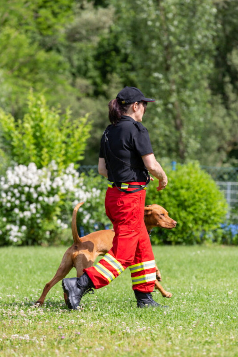 Rettungshunde_oegv_Schwanenstadt_Training_Juni22-35_small
