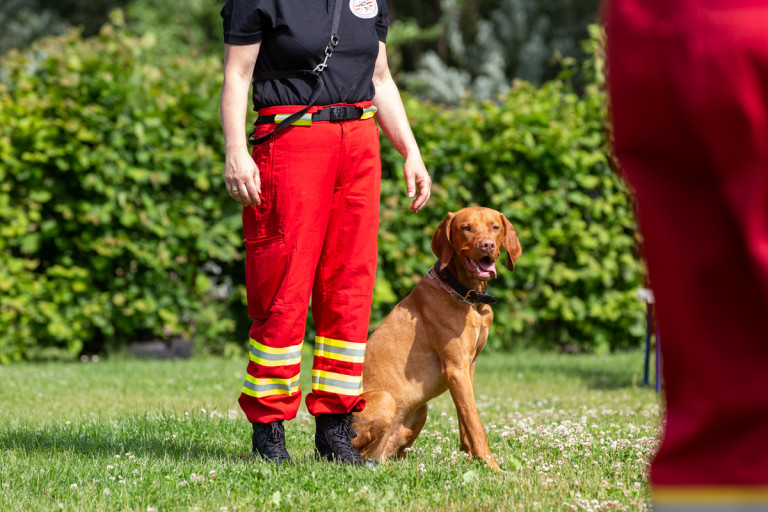 Rettungshunde_oegv_Schwanenstadt_Training_Juni22-39_small