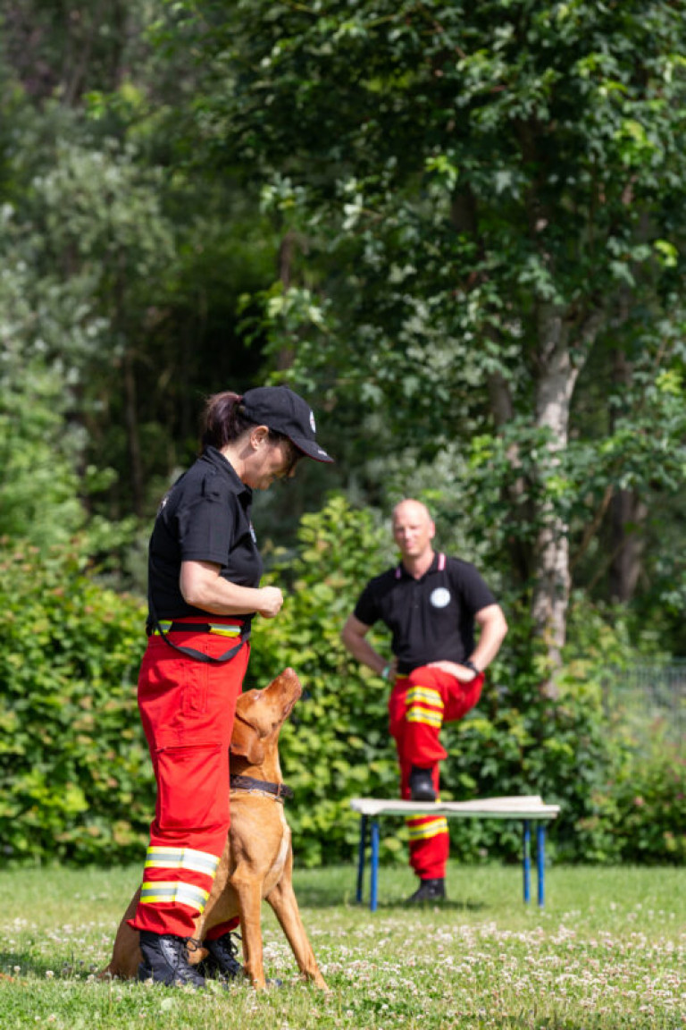Rettungshunde_oegv_Schwanenstadt_Training_Juni22-40_small