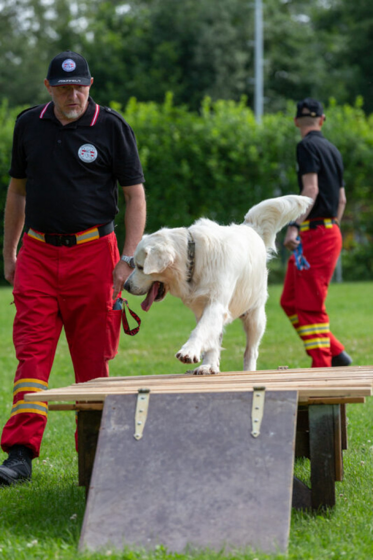 Rettungshunde_oegv_Schwanenstadt_Training_Juni22-23_small