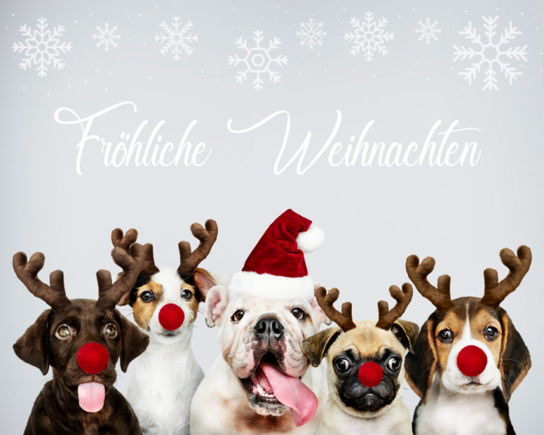 Weihnachtsgruesse_Hundeschule_Schwanenstadt