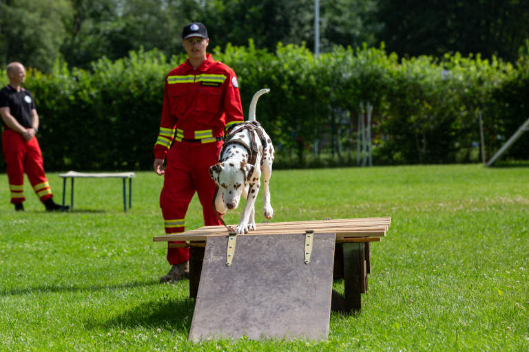 Rettungshunde_oegv_Schwanenstadt_Training_Juni22-25_small