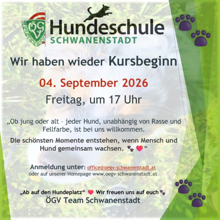 Kursbeginn Herbst 2026
